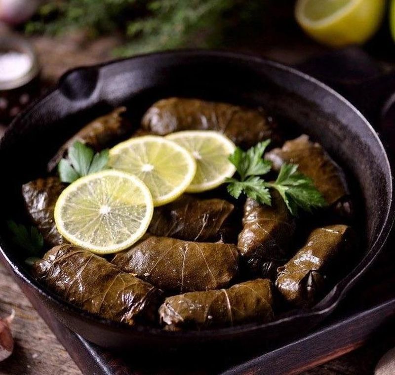 Dolma from ASR